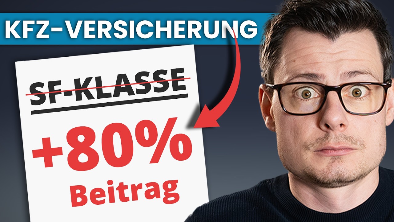 pegasus e bike fahrradtasche Premio EVO 10 Lite COMFORT grau | 500WH Größe_140x200 Größe:Einzelkinderwagen Smith Triad MIPS -
