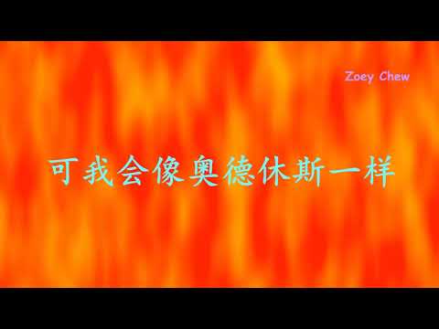 鹿晗   勋章