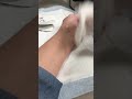 Glanglion cyst