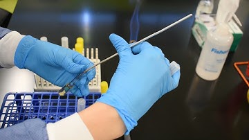 Lab 2 - Aseptic Transfer Technique