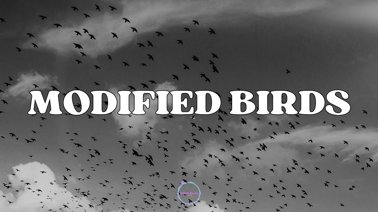 Modified Bird