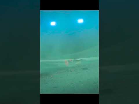 Новички подскажут... #cars