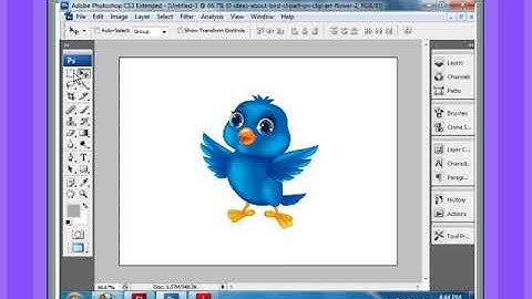 Chapter 6 - Part 4 - Marquee Tools | Class 8 Computer