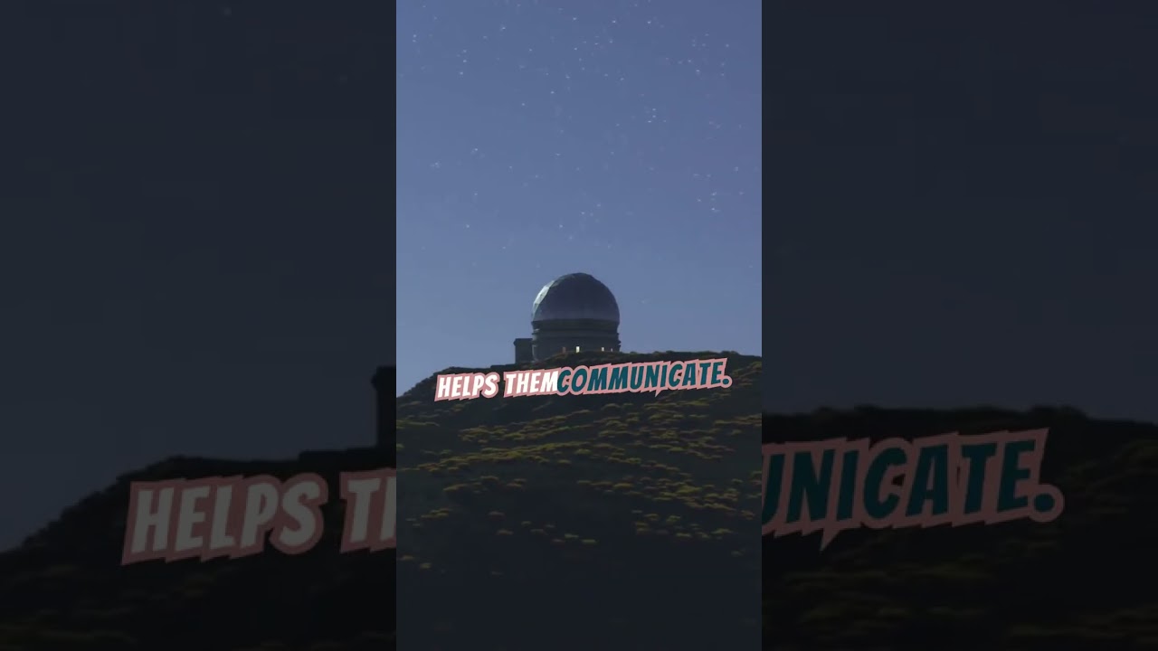 "Is It a Hedgehog? A Mouse? No, It's the Astonishing Tenrec!" 