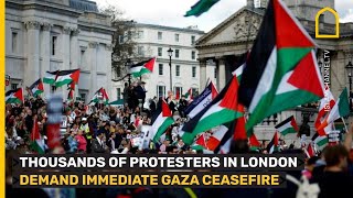 Land Day 2024: March for Palestine protesters demand immediate Gaza ceasefire