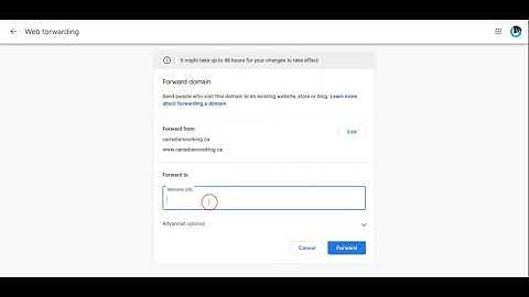 Google Domain Forwarding - Free Plan