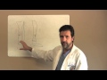 Stress Fractures & Tibia Fractures Treatments - Sugar Land Houston TX - Dr. J. Michael Bennett