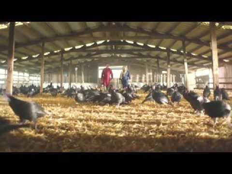 LidlSurprises: Christmas Turkey advert 2016 | Top Ten News