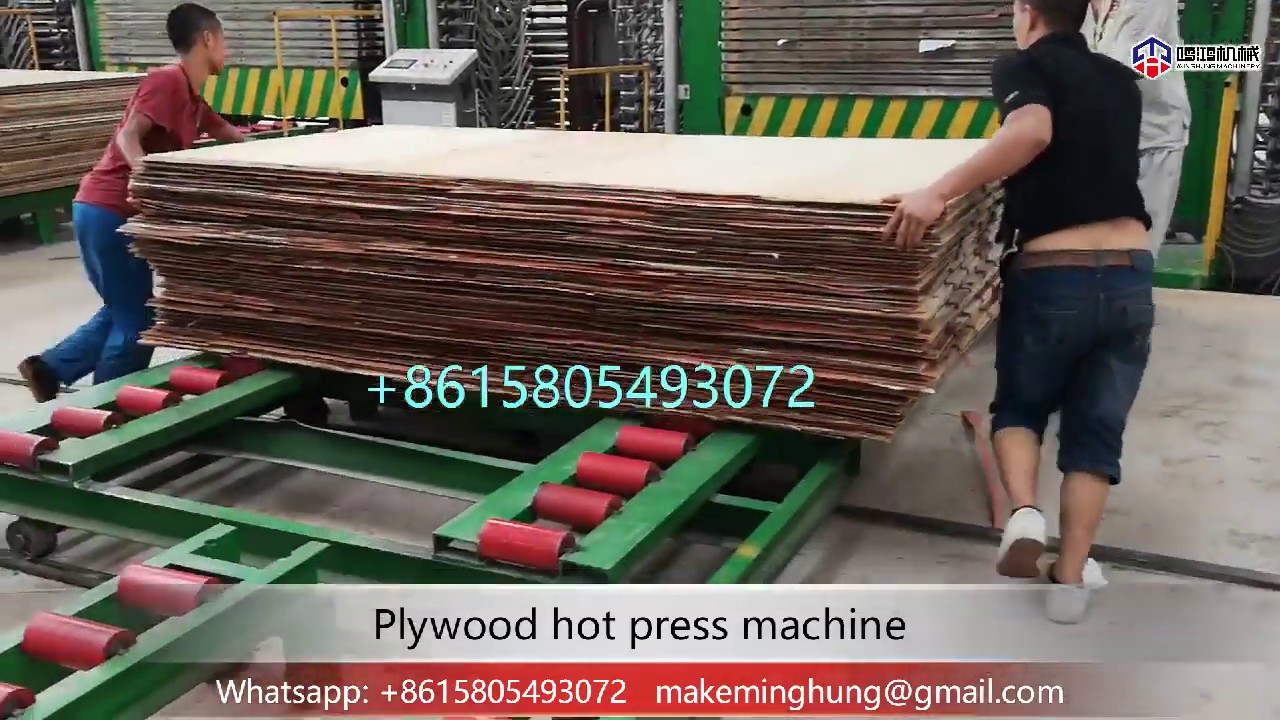 how to press plywood?cold press and hot press (China manufacturer