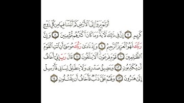 سورة الشعراء 2 القسم الثاني تكرار كيفي من ..  أولم يروا إلى الأرض كم أنبتنا فيها .. إلى .. يقتلون