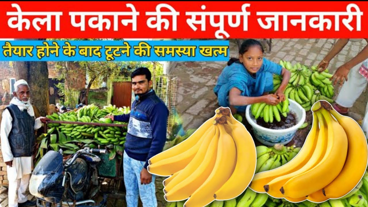 केला पकाने का तरीका, kela pakane ka tarika, kela kaise pakaya jata hai