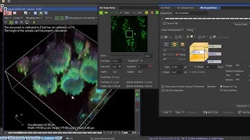 Recording a Fluorescence Lifetime Image (FLIM) Stack with a LSM Upgrade Kit  on a Nikon A1