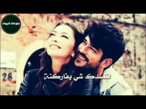 حالات واتس اب ساريه السواس احبك حيل