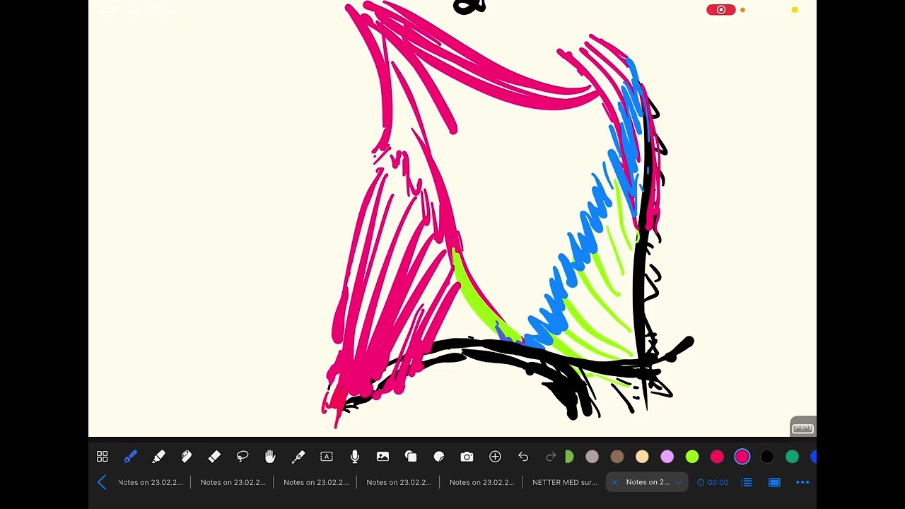 Triunghiul lui Petit (lombar inferior) și rombul lui Grymfeltt sau al lui Lesshaft (lombar superior)