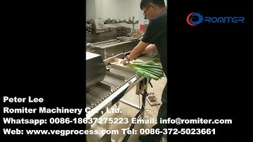 Automatic Vegetable Head Cutting Removing Machine for Carrot Radish Celery Green Onion