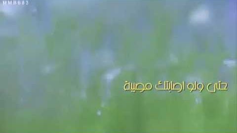 ● مادمت تقرأ الأذكار فابشر بكل خير للشيخ محمد الشنقيطي