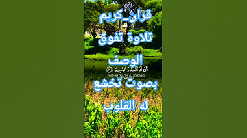 تلاوة خاشعة قرأن كريم راحة نفسية بصوت جميل جدا #قران_كريم #قرآن #elmulquranعلم #المصحف  #duet