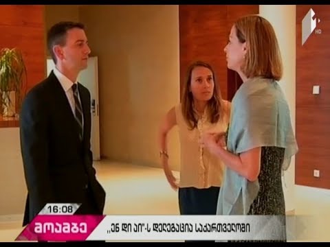 NDI-ის დელეგაცია საქართველოს პრეზიდენტს ხვდება