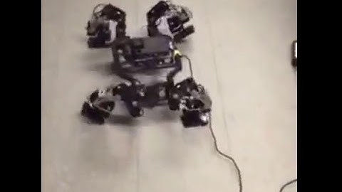 Gait Generation for Quadrupeds