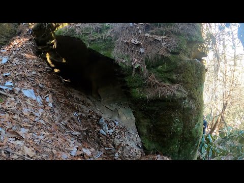 Pachyderm Arch: Hidden