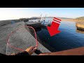 島で初めてみる40cm位の魚が居るから網を持って…