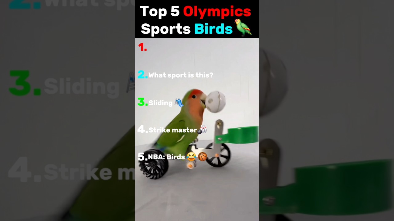 No way the last bird can actually do that 😳 