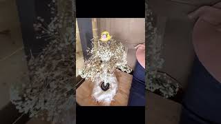 Bridal Shower De Mi Hermana