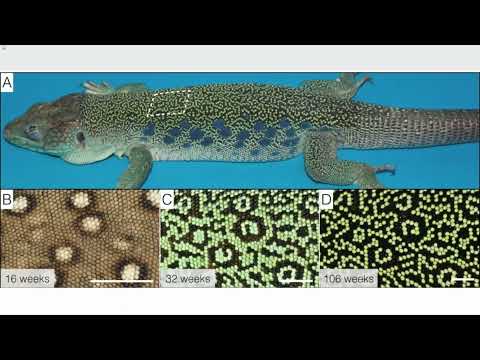 SC-205 Project