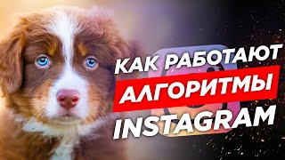 Накрутка Инстаграм ➡️ Дерзкий Взлом Алгоритмов Инстаграм, Метод 2020