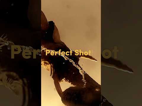 Perfect Shot: Cobra snake deters wildlife filmmakers a beautiful low angle of watering elephants.