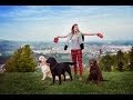 Собачий взгляд на Мариборское похорье / Жизнь в Словении