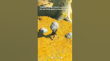 Helping/Finding a Korok everyday until the new Zelda game is released Day 306