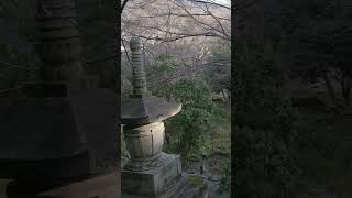 栖賢寺　Seiken-ji  Temple of Kyoto