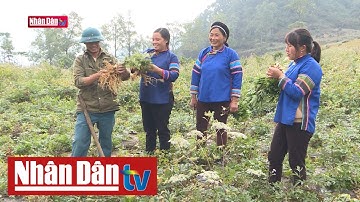 Nâng cao chất lượng sống cho đồng bào dân tộc thiểu số rất ít người