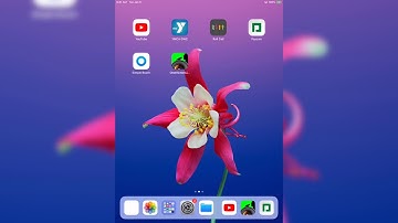 Paycom Approve Timecard