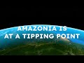 Santander's Chosen Path: Finance the destruction of Amazonia