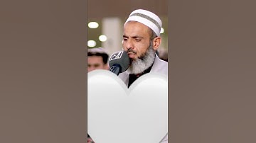 القارئ عمر عبدالله￼￼￼.