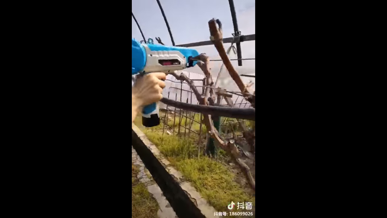 Khám Phá Thế Giới S666 Kiwi - Hương Vị Tươi Mát Cho Cuộc Sống