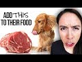 Easy & Affordable Raw Food Hacks for Dogs | Pet Nutrition Interview Rodney Habib Part 2