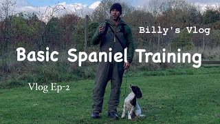 Basic Spaniel Training straight, sends & back retrieves, "Billy's Vlog Ep-2"