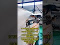 CNC Rebar Stirrup Bender Machine For 6-16mm Deformed Steel Bar
