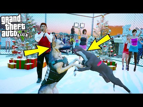 YAVRU PİTBULL EĞİTİMLİ ALMAN KURDUYLA KAFES DÖVÜŞÜ YAPIYOR! - GTA 5 YILBAŞI ÖZEL