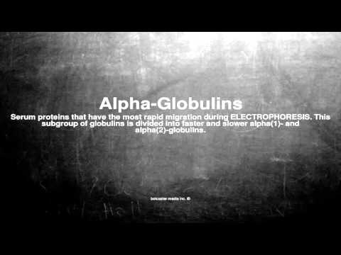 Medical Vocabulary: What Does Alpha-Globulins Mean