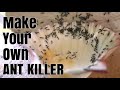 How To Make Homemade ANT KILLER