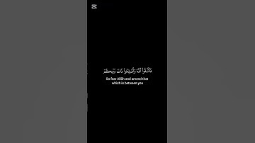 (يسألونك عن الأنفال)ايات من سورة الأنفال #صلوا_على_النبي_صلى_الله_عليه_واله_وصحبه_وسلم