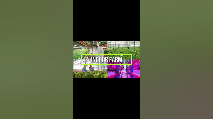 Indoor Farming The Future of Agriculture
