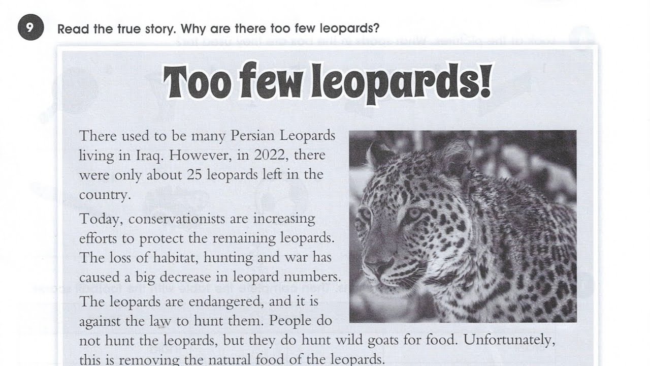 حل نشاط انكليزي صفحة 65 ثالث متوسط - 2026