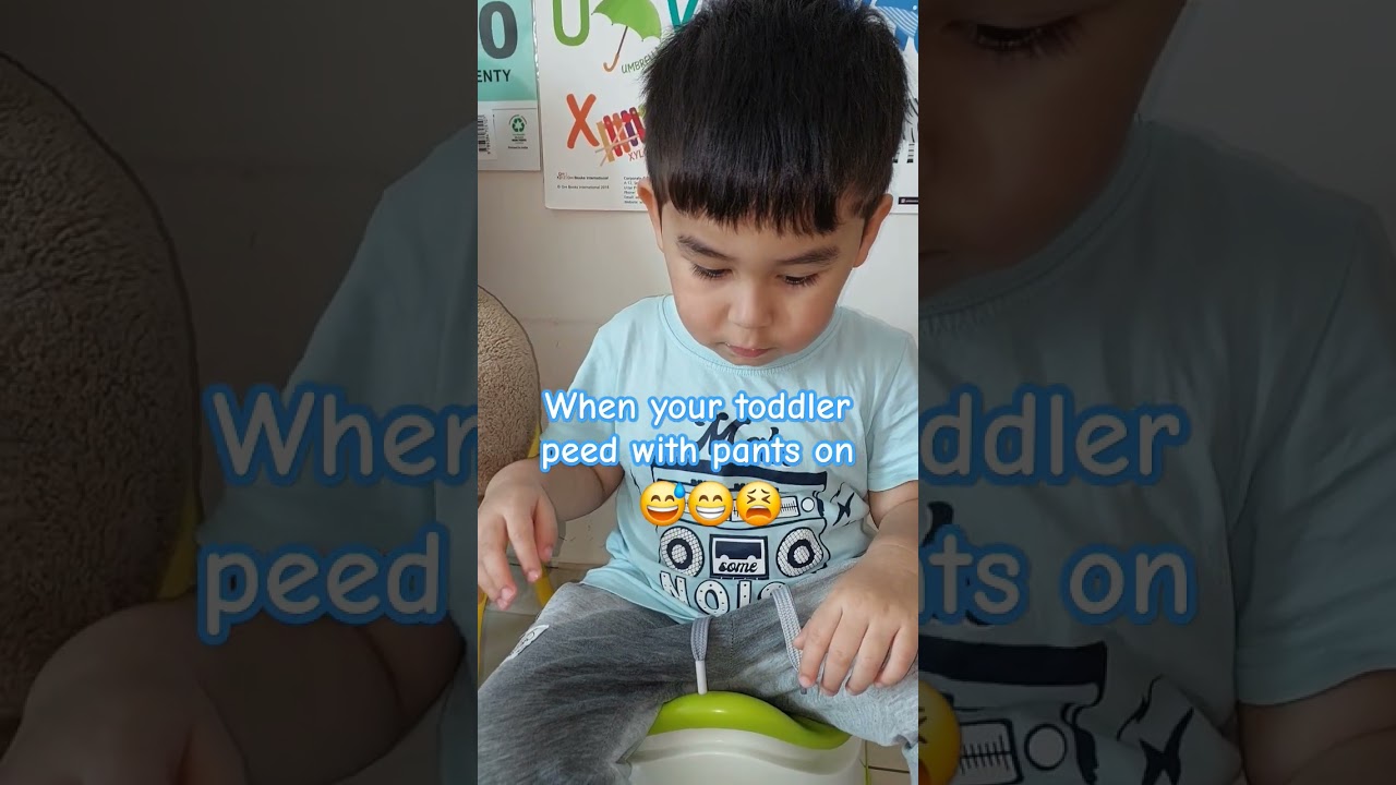 Мой малыш обмочился | Приучаю сына писать в горшок