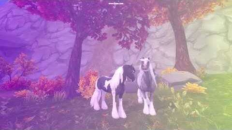 Star Stable | Tinker | Into the Unknown