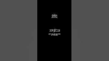 ولا تركنوا إلى الذين ظلموا شاشة سوداء | كرومات قرآن كريم بصوت #محمد_صديق_المنشاوي | #سورة_هود